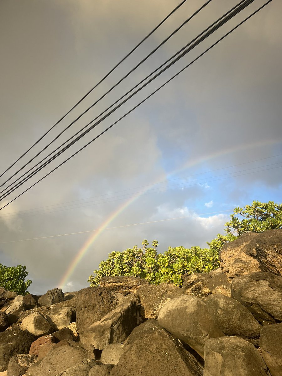 MeghanBobrowsky's tweet image. back from vacation and ready to dive back in! reminder that I cover Meta, social media and AI and you can reach me via signal at meghan.99 :)
ps here are some Hawaii highlights