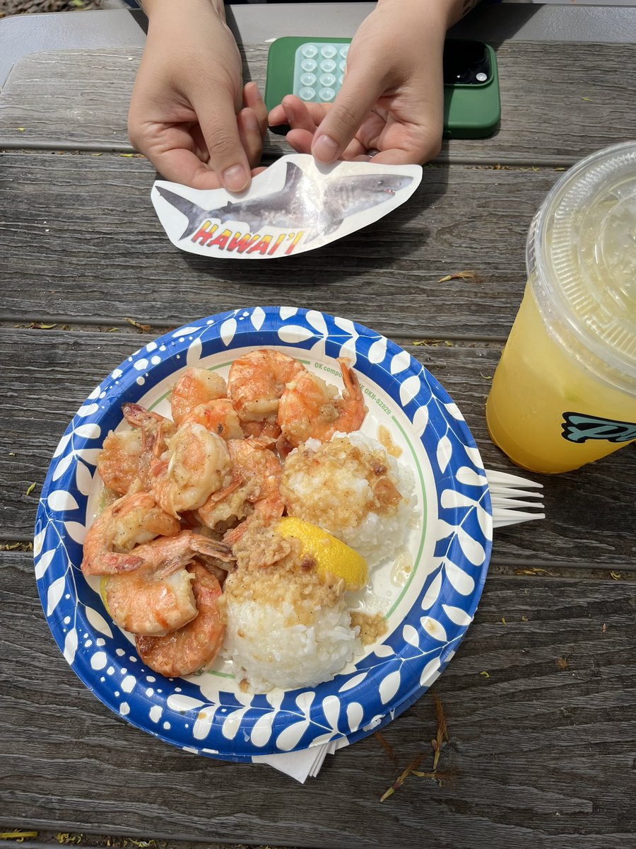 MeghanBobrowsky's tweet image. back from vacation and ready to dive back in! reminder that I cover Meta, social media and AI and you can reach me via signal at meghan.99 :)
ps here are some Hawaii highlights