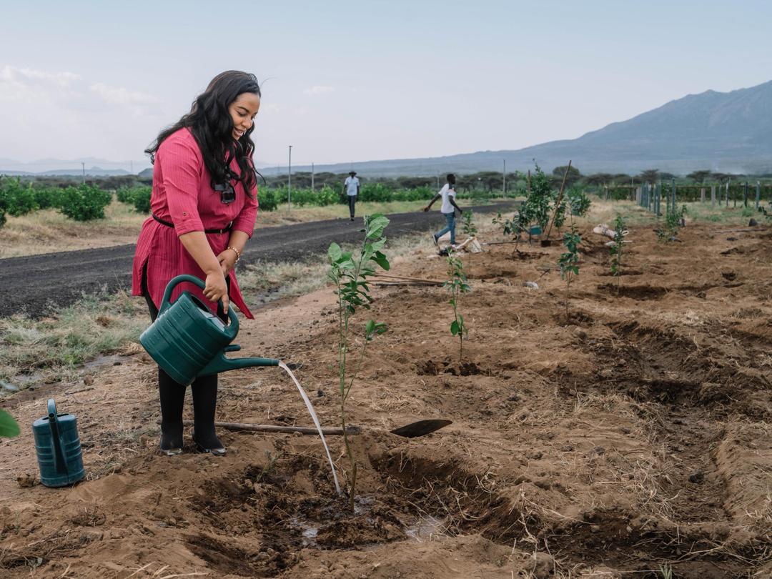 AbiyAhmedAli's tweet image. We made significant progress during the 2017 Ethiopian calendar year, providing a strong foundation for continued development in 2018. Accordingly, the Council of Ministers has convened to review the national development plan for 2018, including a comprehensive assessment of all…