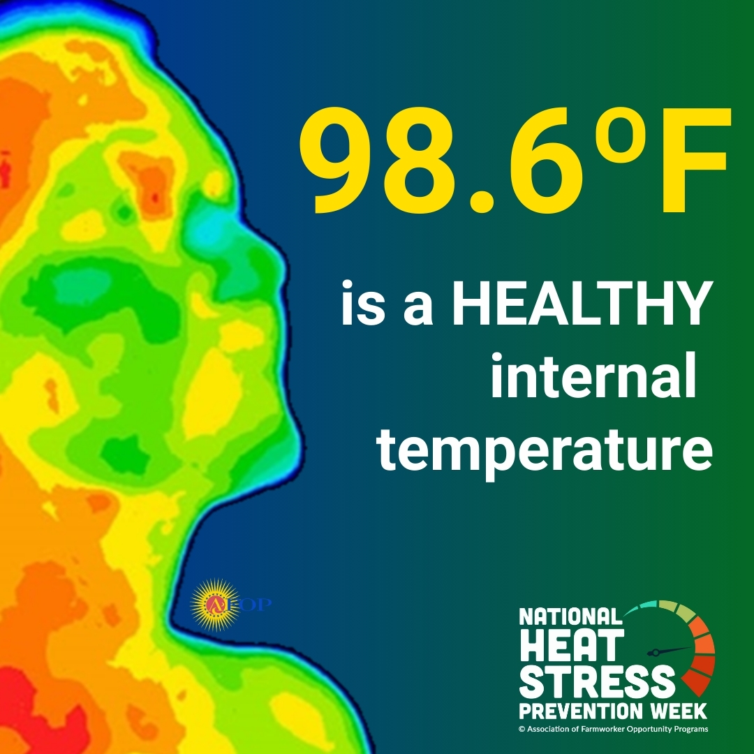 AFOPHealth&Safety tweet media