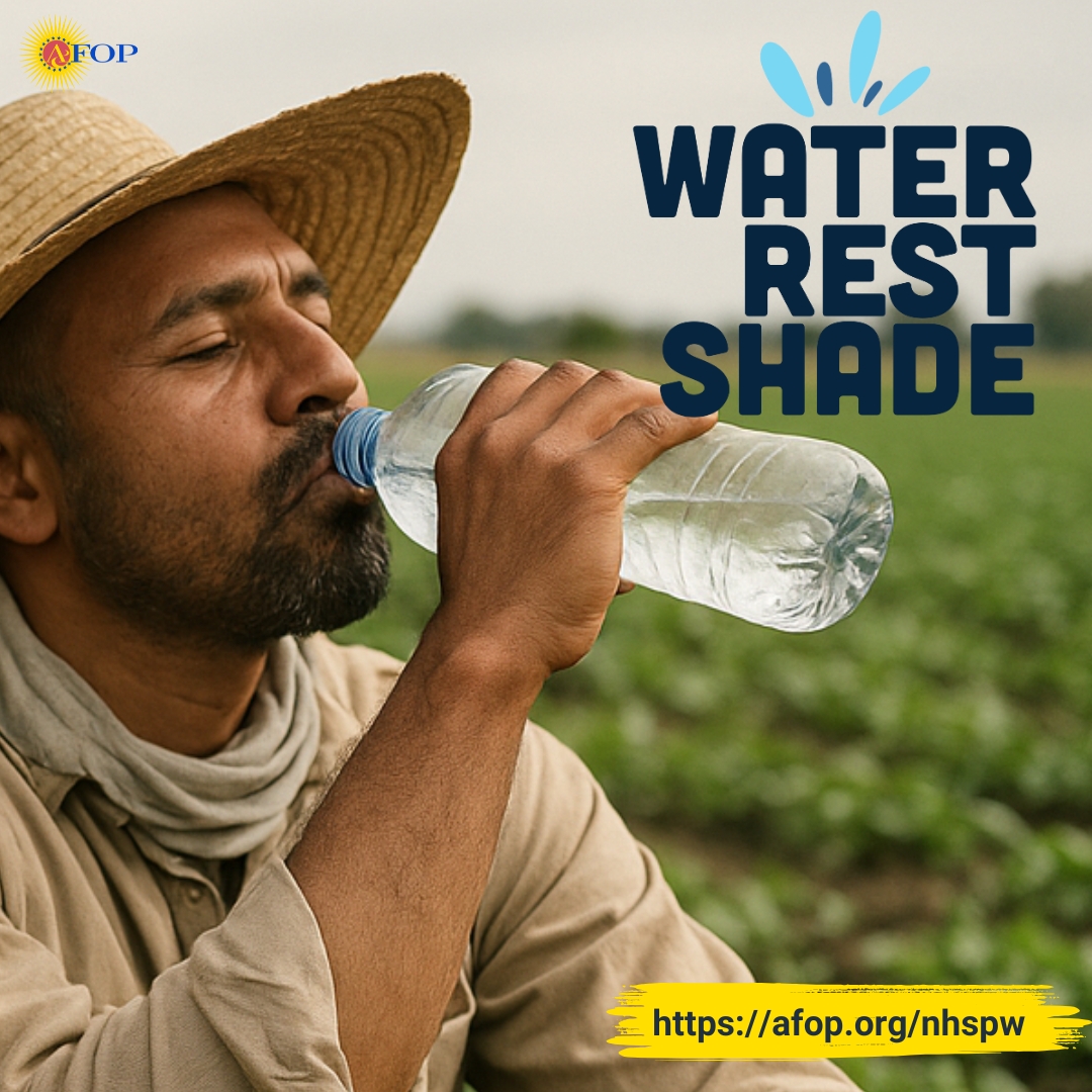 AFOPHealth&Safety tweet media