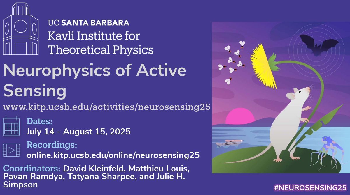 KITP_UCSB's tweet image. Welcome to the Neurophysics of Active Sensing (#neurosensing25) program at KITP!
July 14 - August 15, 2025
Learn more: kitp.ucsb.edu/activities/neu…