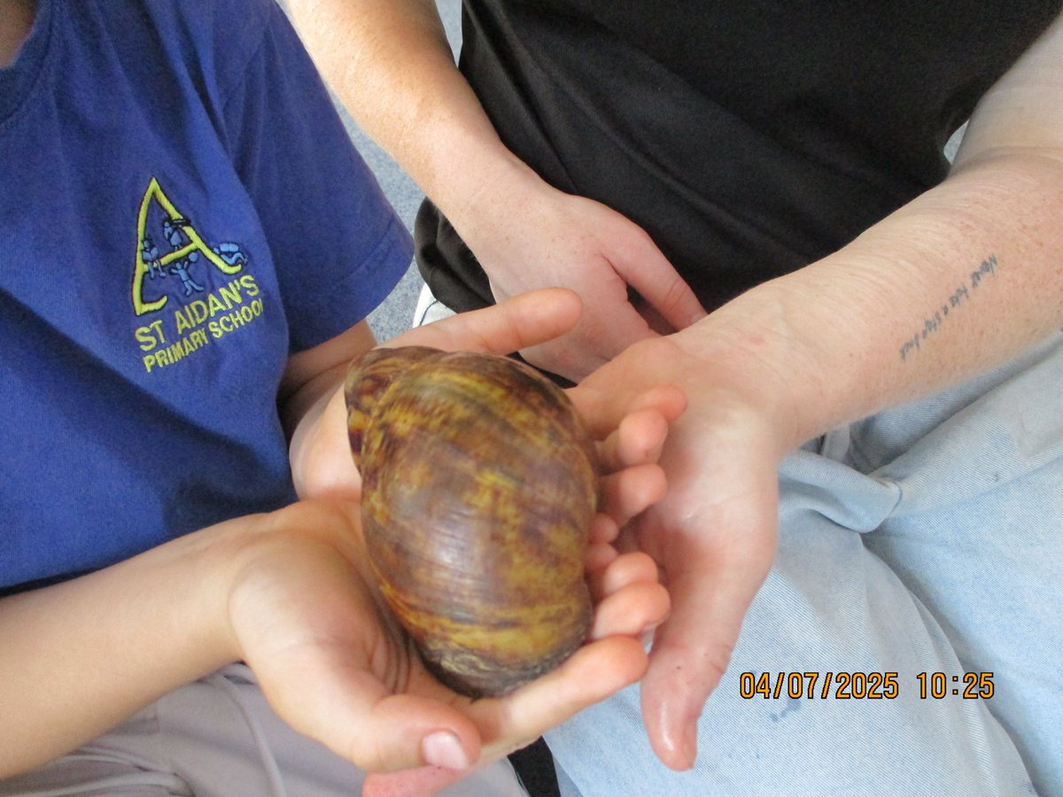 StAidansSchN4's tweet image. Yellow Class had a wonderful visit from Zoolab! The children were able to touch a variety of animals and learnt lots of new information about their habitats. @ZooLabUK