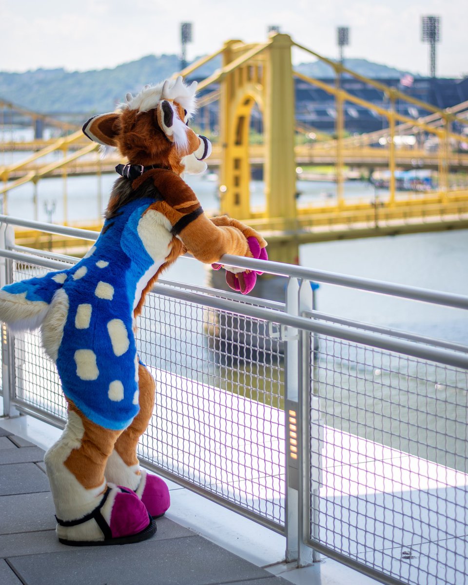 Aspen 🔜🦌🍂 (@mojoyote) on Twitter photo It’s been a weeks since AC, time for me to finally kick back into gear and get to work!
📸 - <a href="/yukonbarksalot/">Yukon 🐺 Arvo 🦊</a>
🧵- <a href="/Coyotes_Calling/">CoyotesCalling ➡️AC2025</a> It’s been a weeks since AC, time for me to finally kick back into gear and get to work!
📸 - <a href="/yukonbarksalot/">Yukon 🐺 Arvo 🦊</a>
🧵- <a href="/Coyotes_Calling/">CoyotesCalling ➡️AC2025</a>