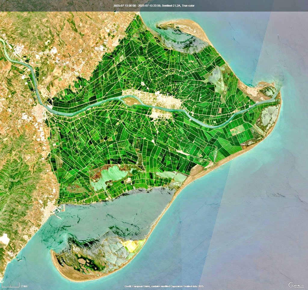 Meravellós retrat del Delta de l'Ebre ahir, 13 de juliol, des del satèl·lit. 😍