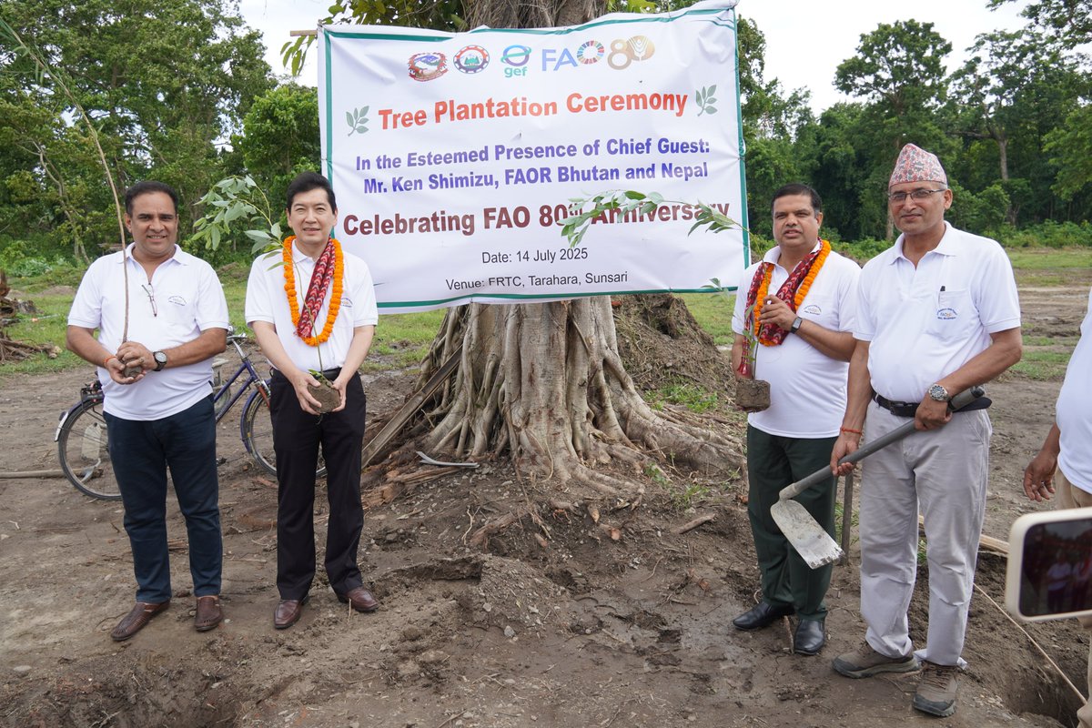 FAONepal's tweet image. As part of the global celebration of FAO’s 80th anniversary, FAO Nepal partnered with the Government of Koshi Province and the MoTFE for more than 800000 tree plantation program in #EasternHills and #BRCRN areas, showing our commitment to #greenerfuture for all.