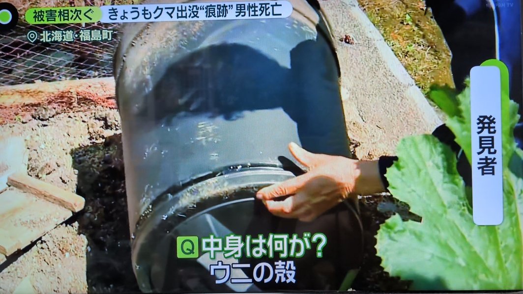 kumamoriBranch's tweet image. 藪に隣接したスーパーの3つのゴミ置き場のうちの生ゴミが入っているところだけが施錠されていたが羆に壊され生ゴミが散乱していた。また別の場所でも。こんなに森に近いのに生ゴミが得られる状態にある。完全に誘引している。今回の事故の危険性を予測できた。つまり防止も可能だった。
news zero 7/14