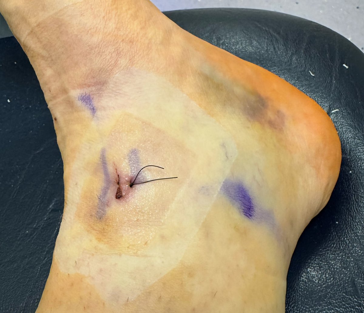 Wonder Woman tweet media