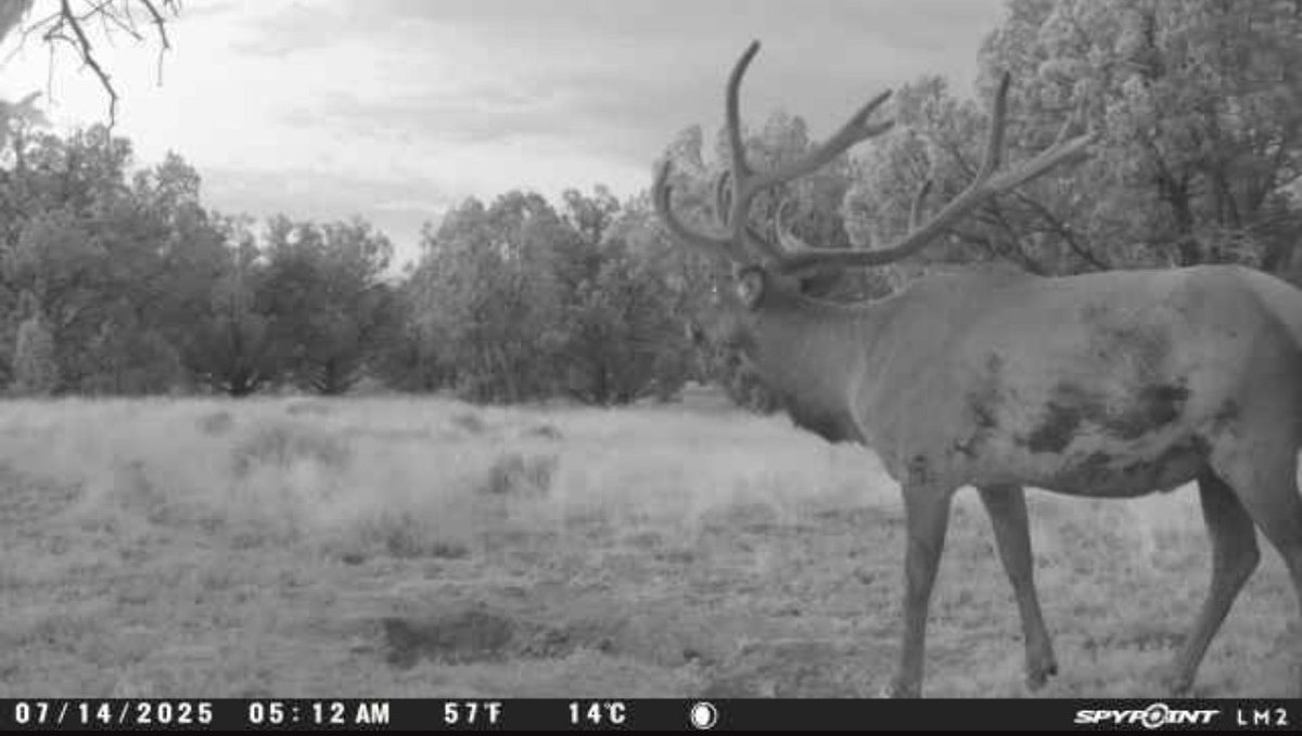 Cimarron_Ranch's tweet image. The things that go &quot;bump&quot; in the night.