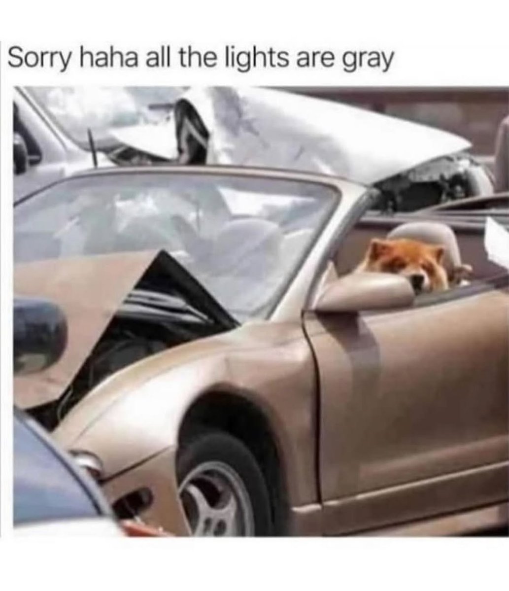 🤣🤣🤣🤣🤣🤣🤣🤣