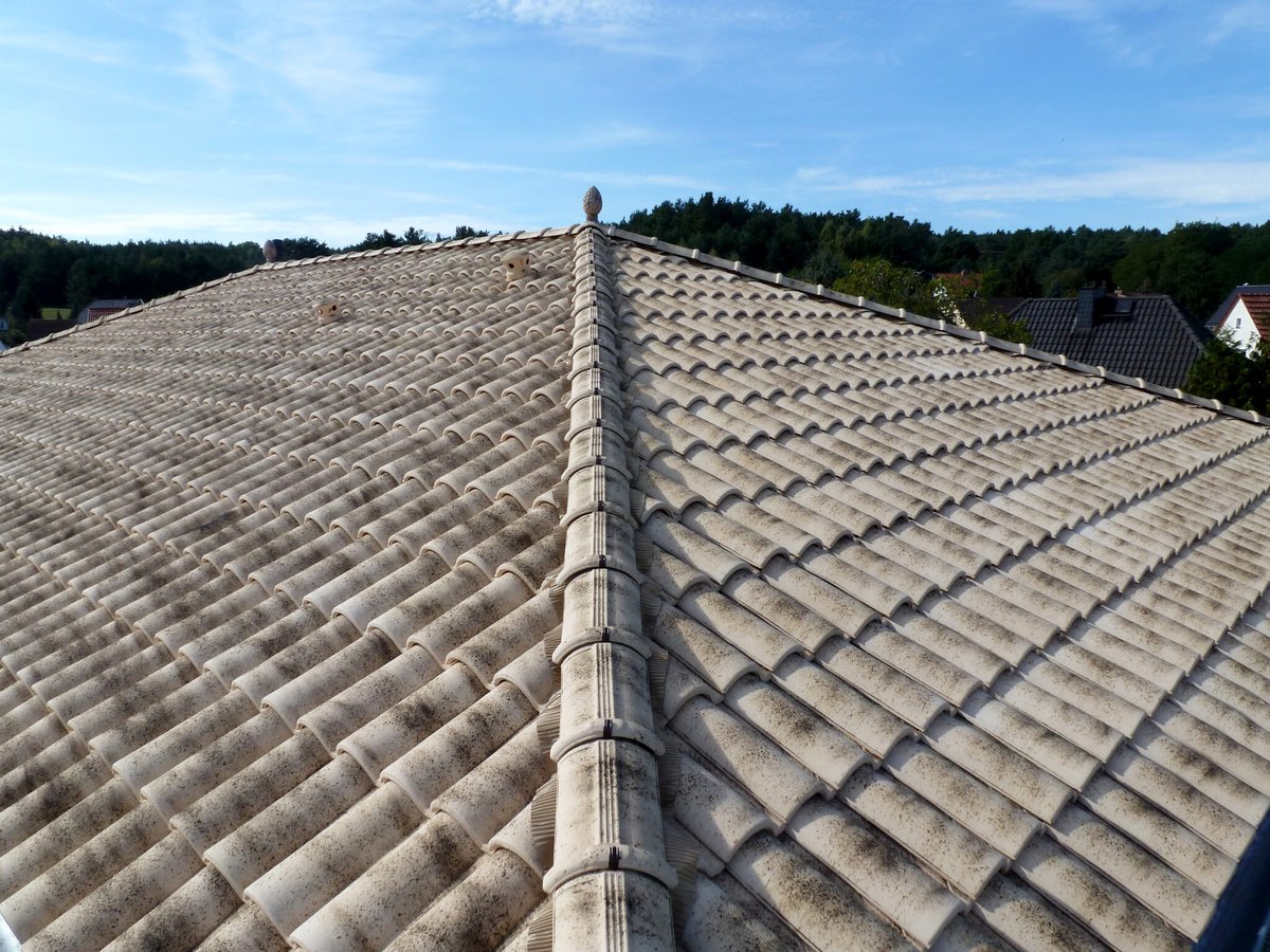 ConstruNewsX's tweet image. ⭕️Hispalyt promueve las #cubiertas microventiladas de teja cerámica como solución alineada con el PERTE de industrialización de la #vivienda  🔗👉 construnews.com/materiales/his… 🔹El Dato:  El PERTE de Industrialización de la Vivienda prevé una inversión pública de 1.300 millones de €