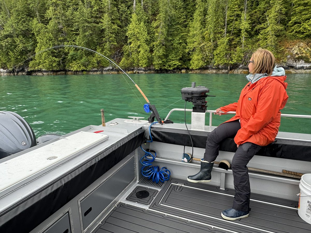 James Ross tweet media