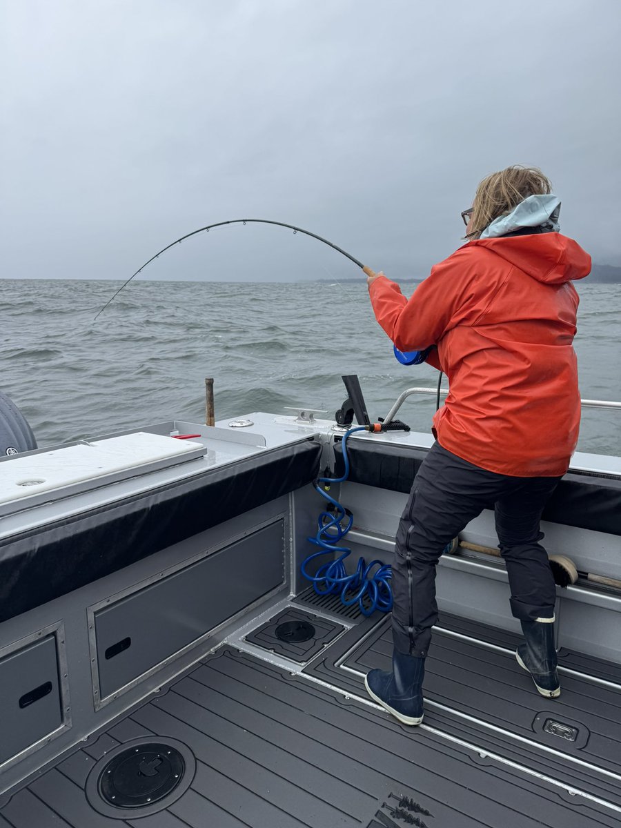 James Ross tweet media