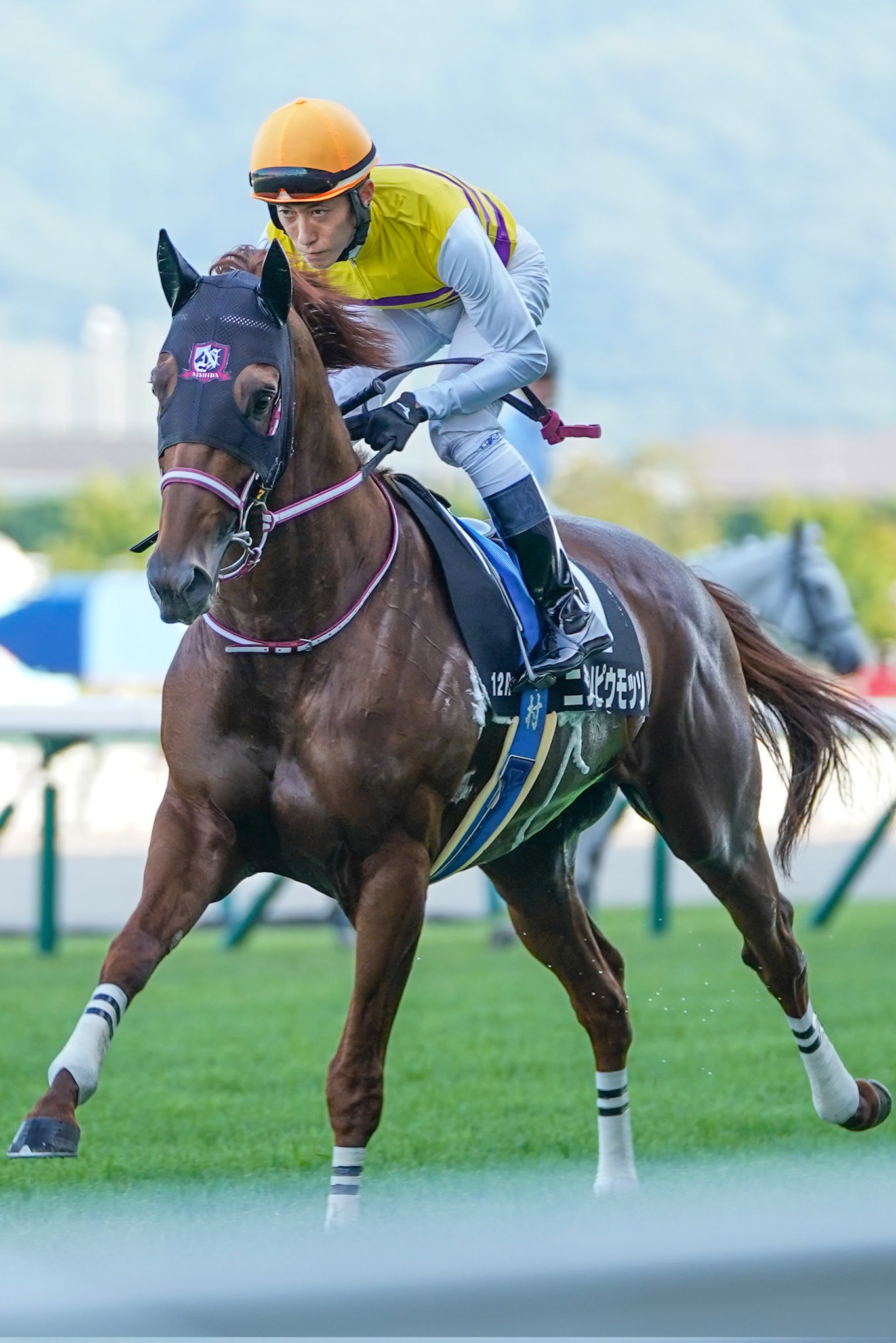JRA必勝バイブル 奥村俊一の競馬赤本 希少本 JRA必勝バイブル 奥村俊一の競馬赤本 希少本