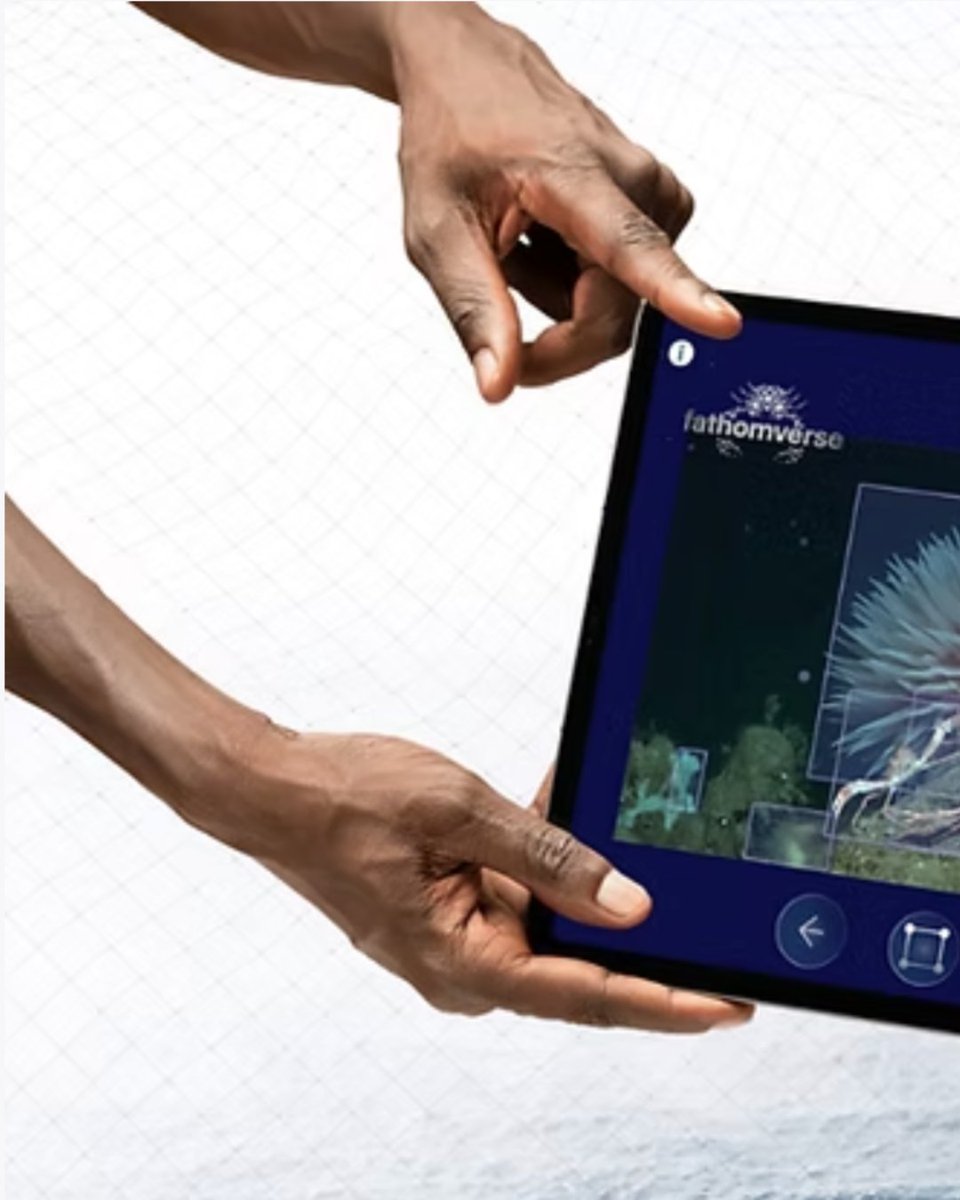 DalioDotOrg's tweet image. FathomVerse by @fathomnet_org is a free mobile game designed to inspire a new wave of ocean explorers while improving the artificial intelligence researchers use to discover ocean life.
With resources and lesson plans for educators, students can dive into real ocean exploration…