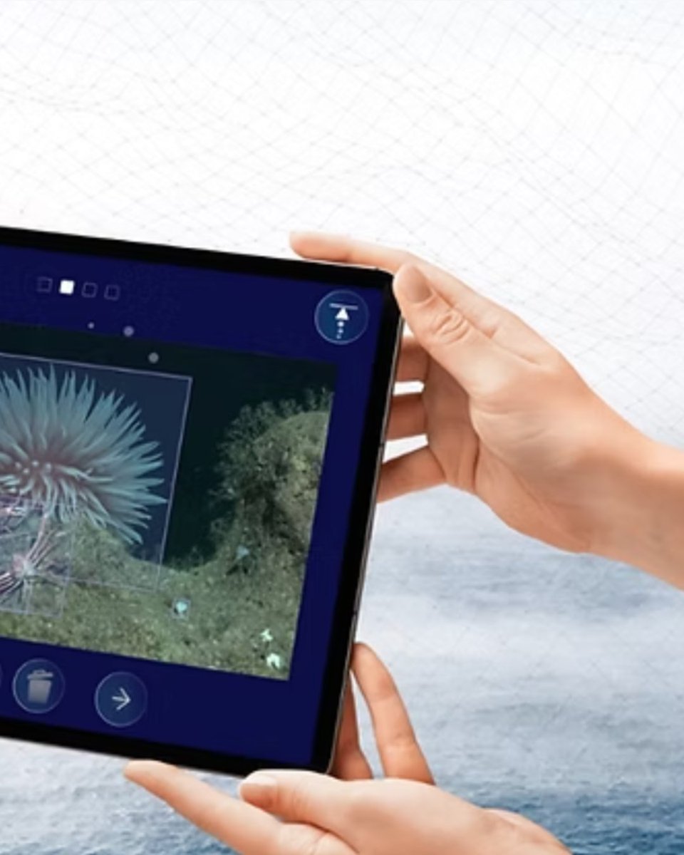 DalioDotOrg's tweet image. FathomVerse by @fathomnet_org is a free mobile game designed to inspire a new wave of ocean explorers while improving the artificial intelligence researchers use to discover ocean life.
With resources and lesson plans for educators, students can dive into real ocean exploration…