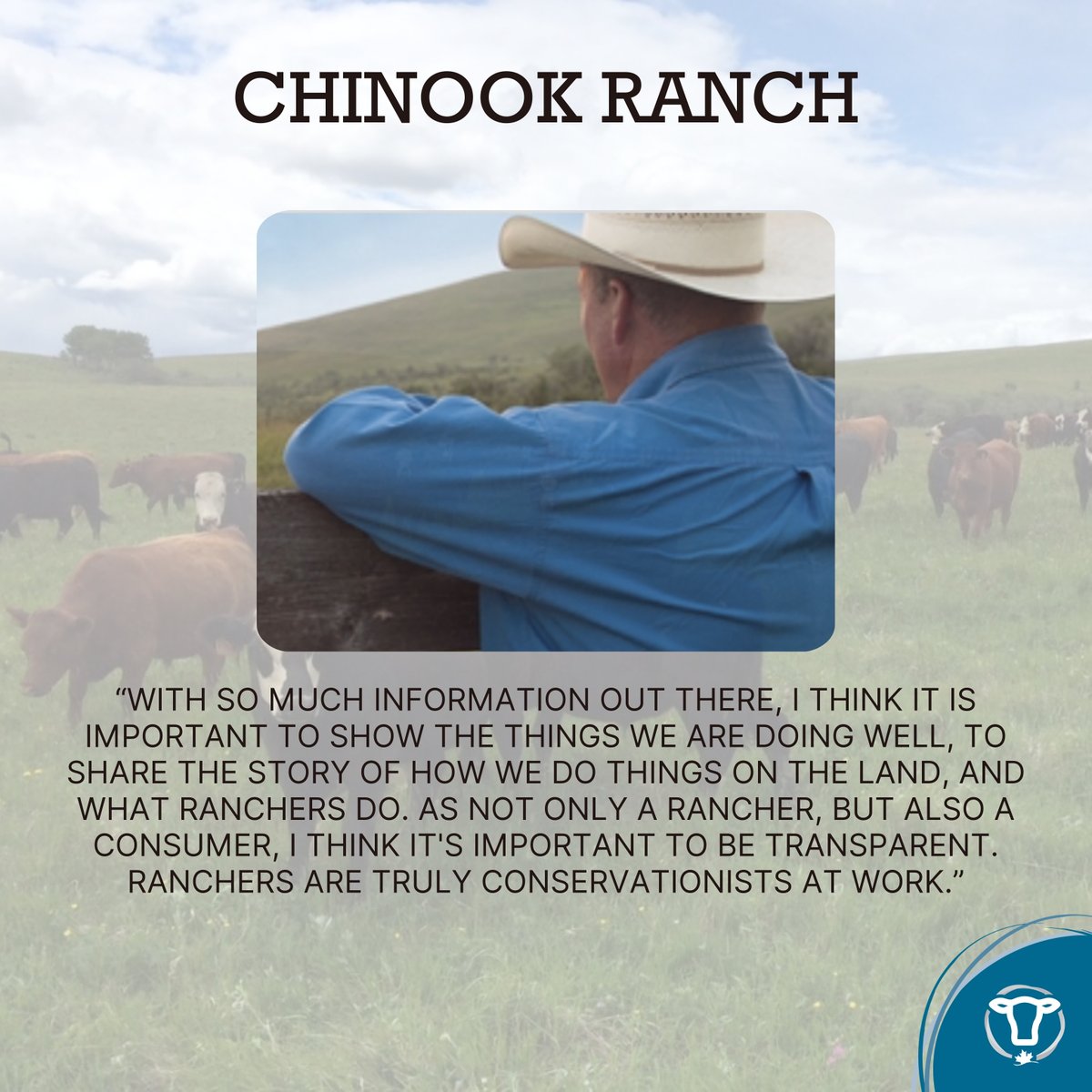 CRSB_beef's tweet image. Chinook Ranch in Longview, AB, is a family-run operation led by Stephen Hughes. Committed to sustainability, they focus on year-round grazing, land stewardship, and transparency in beef production. Read their story & more here: bit.ly/3yEwGJG #loveCDNbeef #Sustainability
