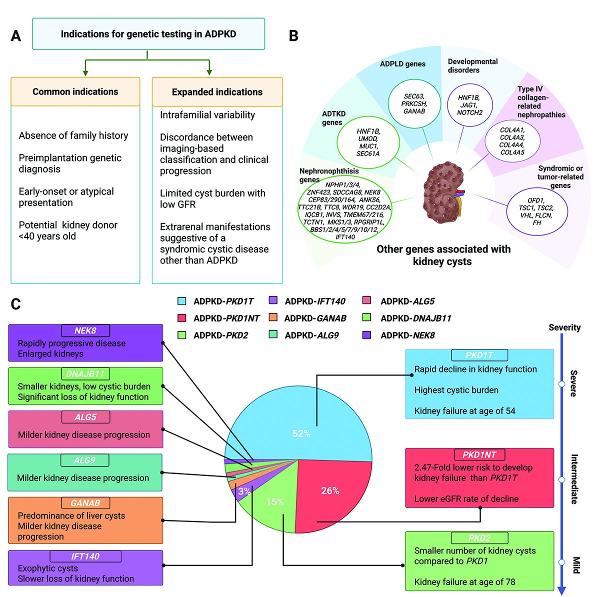 What are the indications for genetic testing in autosomal dominant polycystic kidney disease? New clinical practice guidelines detail genetic testing's increasingly important role. kidney.pub/KN1707-06 kidney.pub/KN-Genetics #ASNKidneyNews