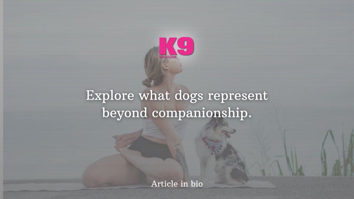 Ever wondered what dogs symbolize spiritually? 🐕 Loyalty, protection &amp; more. #k9magazine

k9magazine.com/what-dogs-symb…