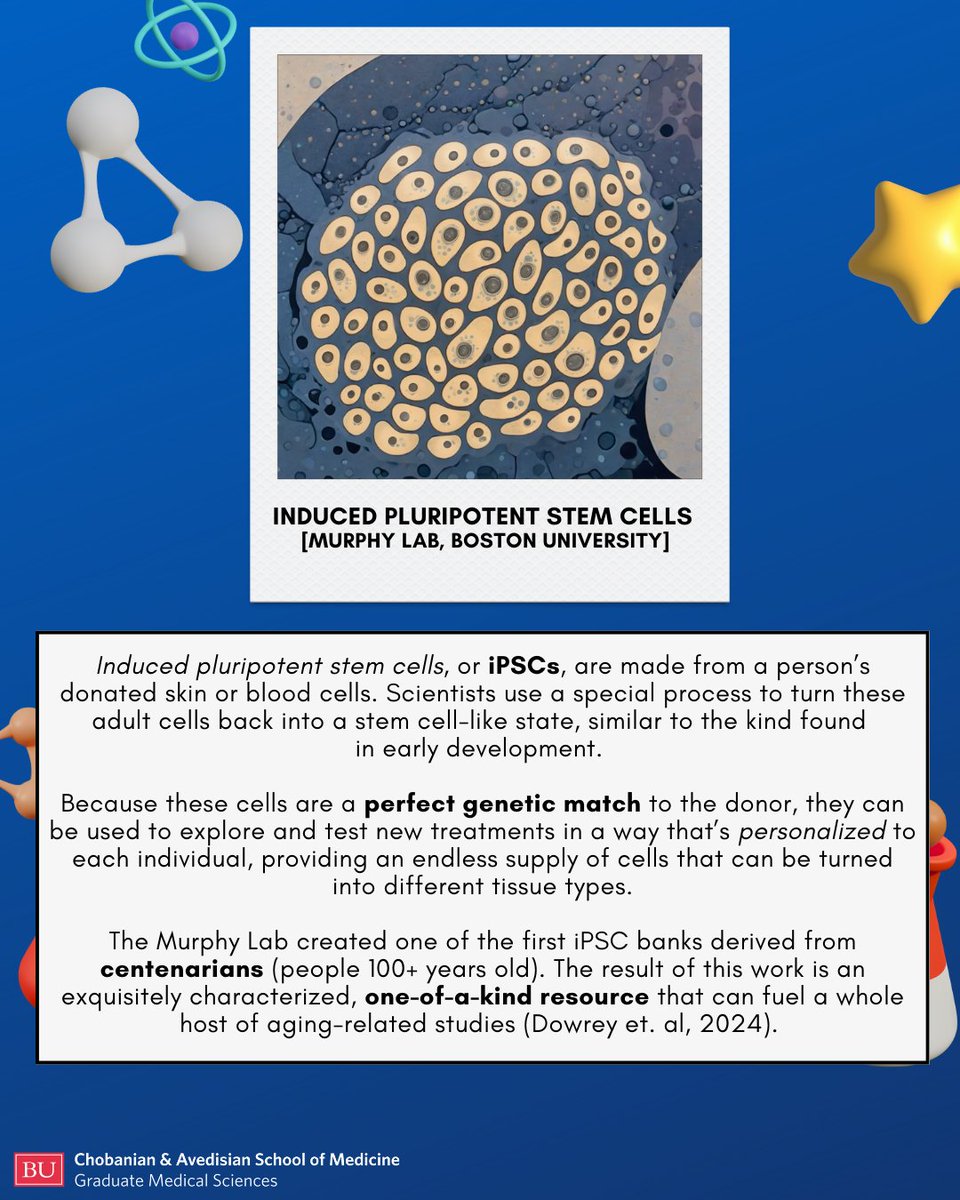 BU Graduate Medical Sciences tweet media