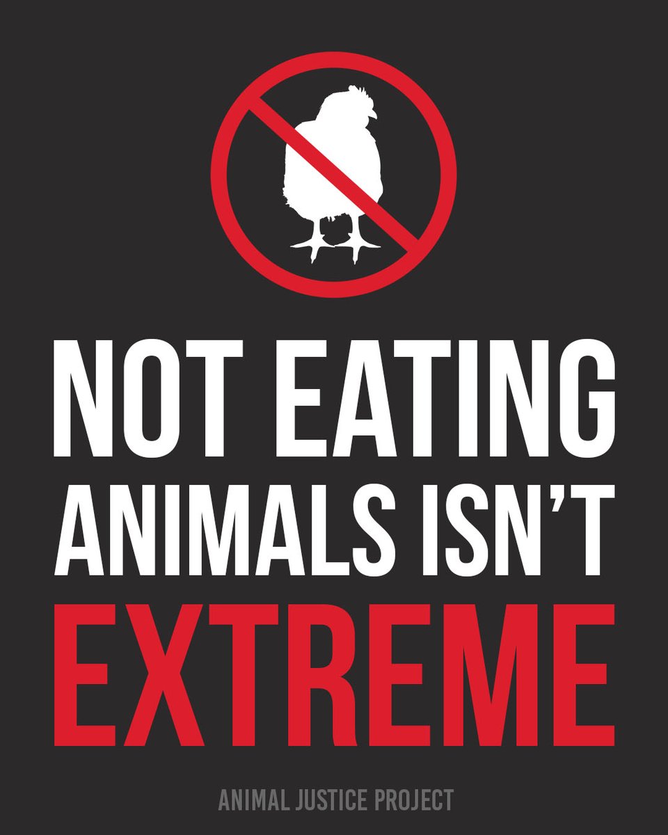 ajpReact's tweet image. Not eating animals isn’t extreme. What’s truly extreme is forcibly breeding, confining, and killing them.

Choosing kindness is always the better option. Agree? Let us know in the comments.

#EndAnimalAgriculture #Vegan #AnimalJusticeProject