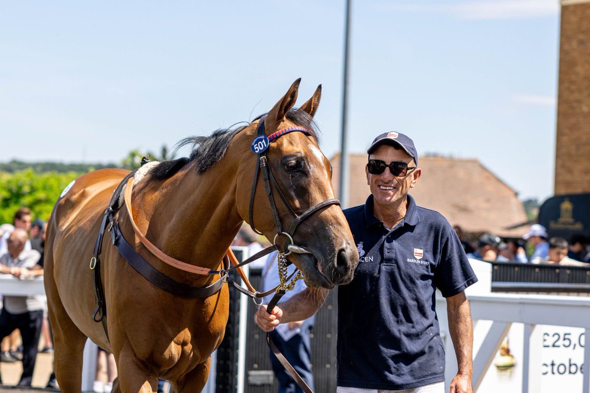 BartonStud1's tweet photo. All smiles at the Tattersalls July Sale 📸
#BartonStud #Tattersalls #HorseRacing #Racehorse #StudFarm #Thoroughbred https://t.co/DVo1z5Z0dZ