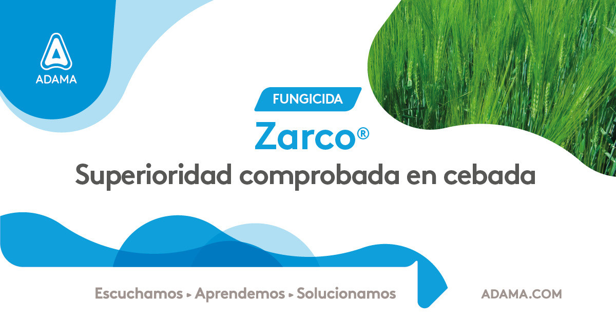 Zarco®️ es superioridad comprobada en cebada:
• Líder en el control de Ramularia, controla cepas resistentes.
• La mejor protección del mercado para Mancha en Red, controla incluso cepas resistentes.
• Eficacia comprobada contra Escaldadura.
Conocé más aquí 👉