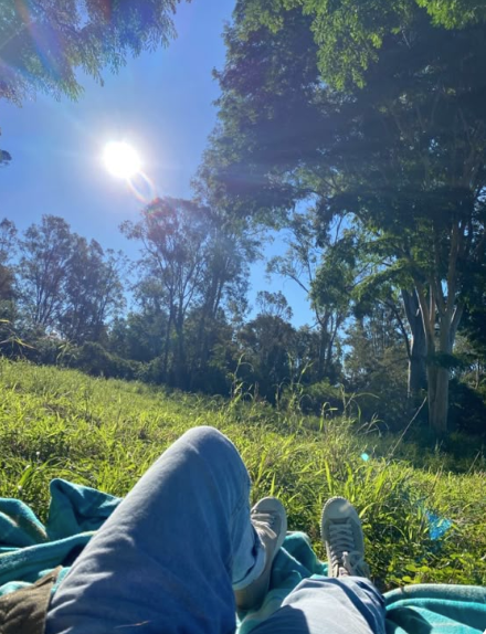 lonelydrew's tweet photo. Soaking in the sunshine and serenity nature’s perfect pause. 🌞🌿 https://t.co/4BGpZo6NtT