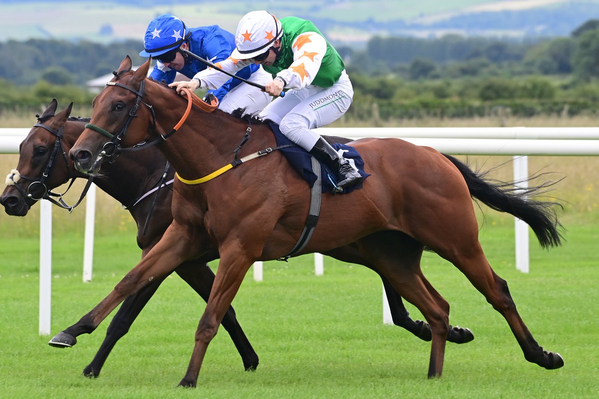 GoffsGo (@goffsgo) on Twitter photo CHECK THIS OUT - 2YO G by Ten Sovereigns
Followed up a 2nd on debut with an impressive win on just his second start๐๐ฅ
Bidding open now: tinyurl.com/pxzsu7a9 CHECK THIS OUT - 2YO G by Ten Sovereigns
Followed up a 2nd on debut with an impressive win on just his second start๐๐ฅ
Bidding open now: tinyurl.com/pxzsu7a9