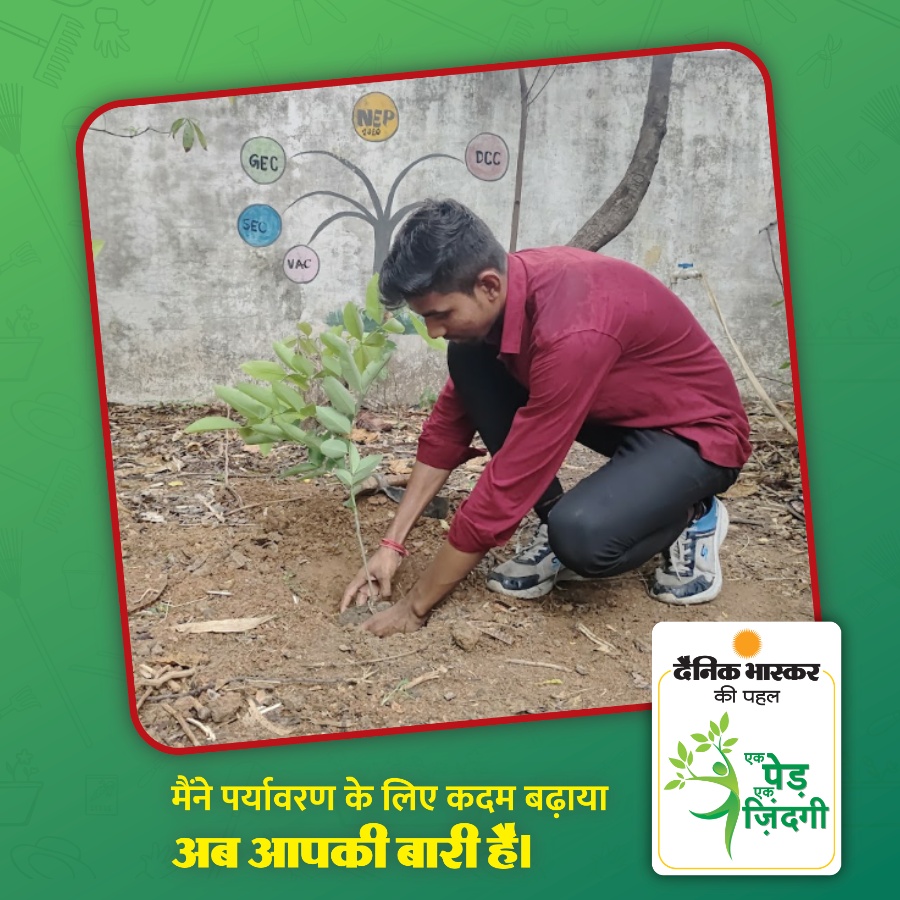 पर्यावरण मित्र