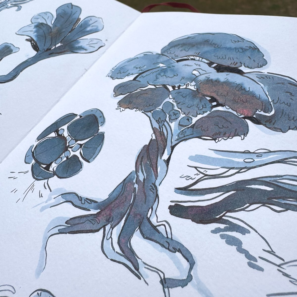 andthegrunlings's tweet image. Plants from another world ✨ "Starlit stories" ink in my sketchbook :) #art #sketch #conceptart #galaxy #ferriswheelpress #inkart #scifi