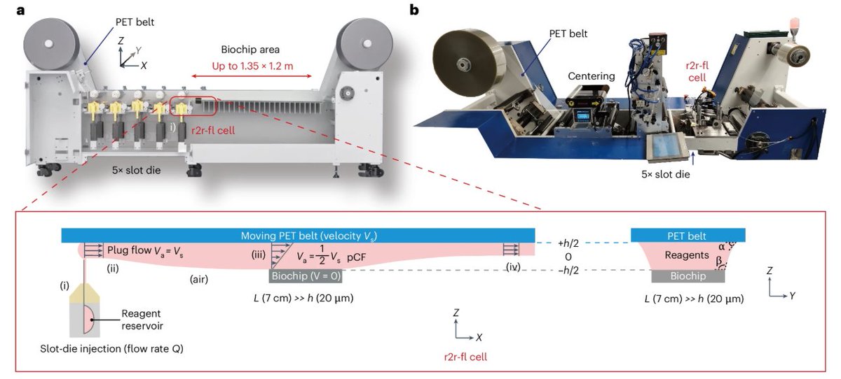 naturemethods's tweet image. Roll-to-roll fluidics enhances reagent efficiency and reduces turnaround time in next-generation DNA sequencing, while maintaining high precision and sensitivity.
nature.com/articles/s4159…