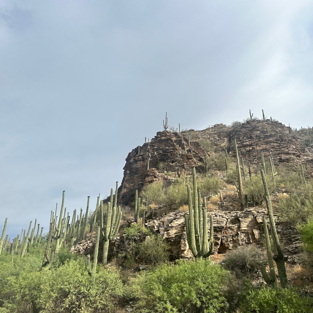 Who's enjoying this summer weather? 😆 #tucson #summer #itshot