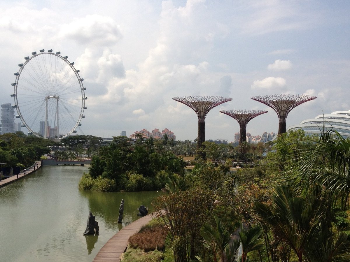 🌊In #Singapore for the World Aquatics Championships 2025? Check out our travel ##health advice here:  travelhealthpro.org.uk/country/196/si…