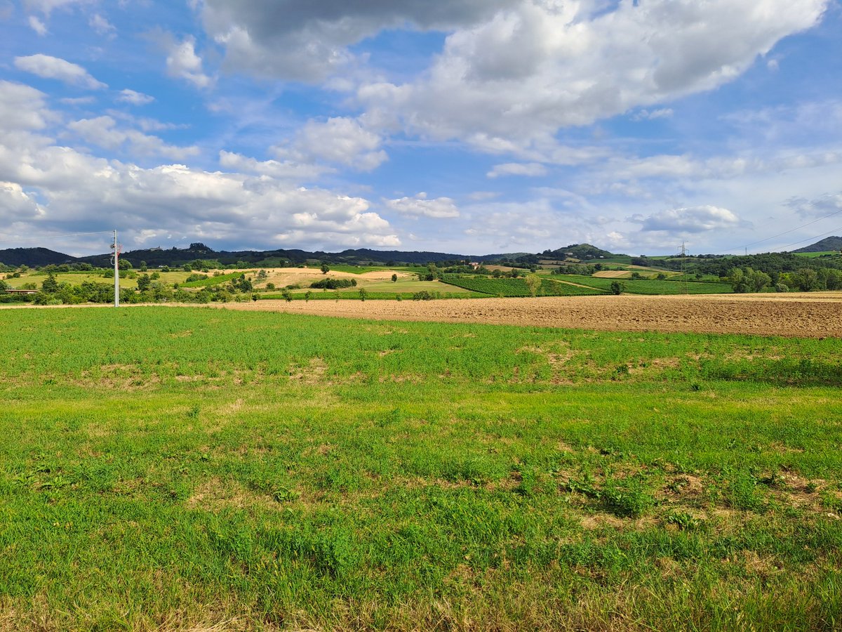 OltrepoExplorer's tweet image. 🇮🇹 Landscape from Oltrepò Pavese
#oltrepo #oltrepopavese #oltrepò  #oltrepòpavese #Pavia #lombardia  #landscape #geography #italy #Italia #beatiful #hill #hills #july #summer #country #countryside #Italia #view #photo #clouds #photography #italytrip
