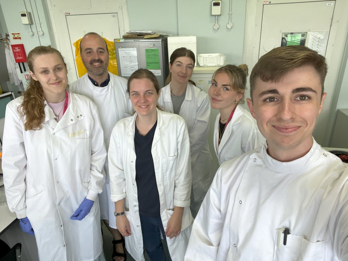 MauroRin85's tweet image. Welcome Alex to the lab! He’s joining us this summer to work on sustainable terpenoid biomanufacturing. We're excited to support his growth as a researcher and see where his curiosity takes him! 🌱🧪 #UndergradResearch #Biochemistry #FutureScientist