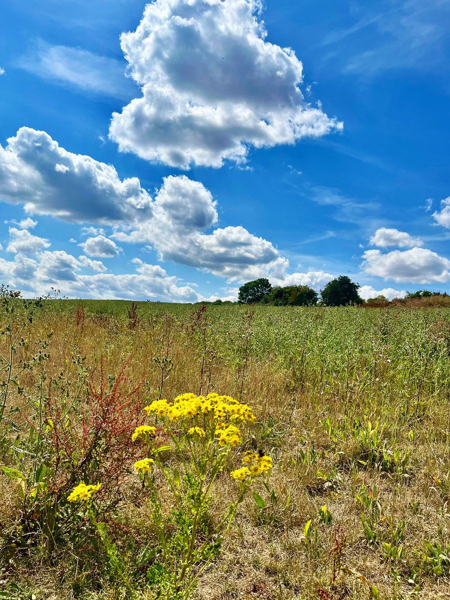 sw37xx's tweet image. Happy new week, my friends! 😁
I hope you’ve all had a positive start to the
week & experienced many moments of
happiness throughout your day! ☺️✨
Wishing you all a pleasant evening! 💛
#NatureBeauty #NaturePhotography