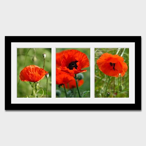 picturegallery's tweet image. Whether you're framing family portraits, #wedding highlights, #travel memories, or themed photo collections, our multi-photo frames provide an elegant and practical way to bring your images together: picturegalleryuk.com/multi-photo-fr… #multiaperturephotoframes #multiphotoframes