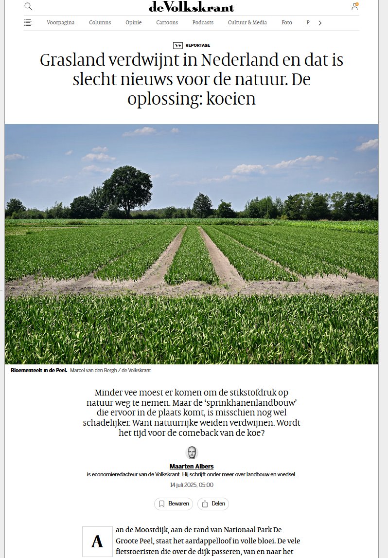 "Grasfalt" en koeien, ze moesten weg. Ze zijn weg, en ze worden gemist.
archive.ph/2025.07.14-030…