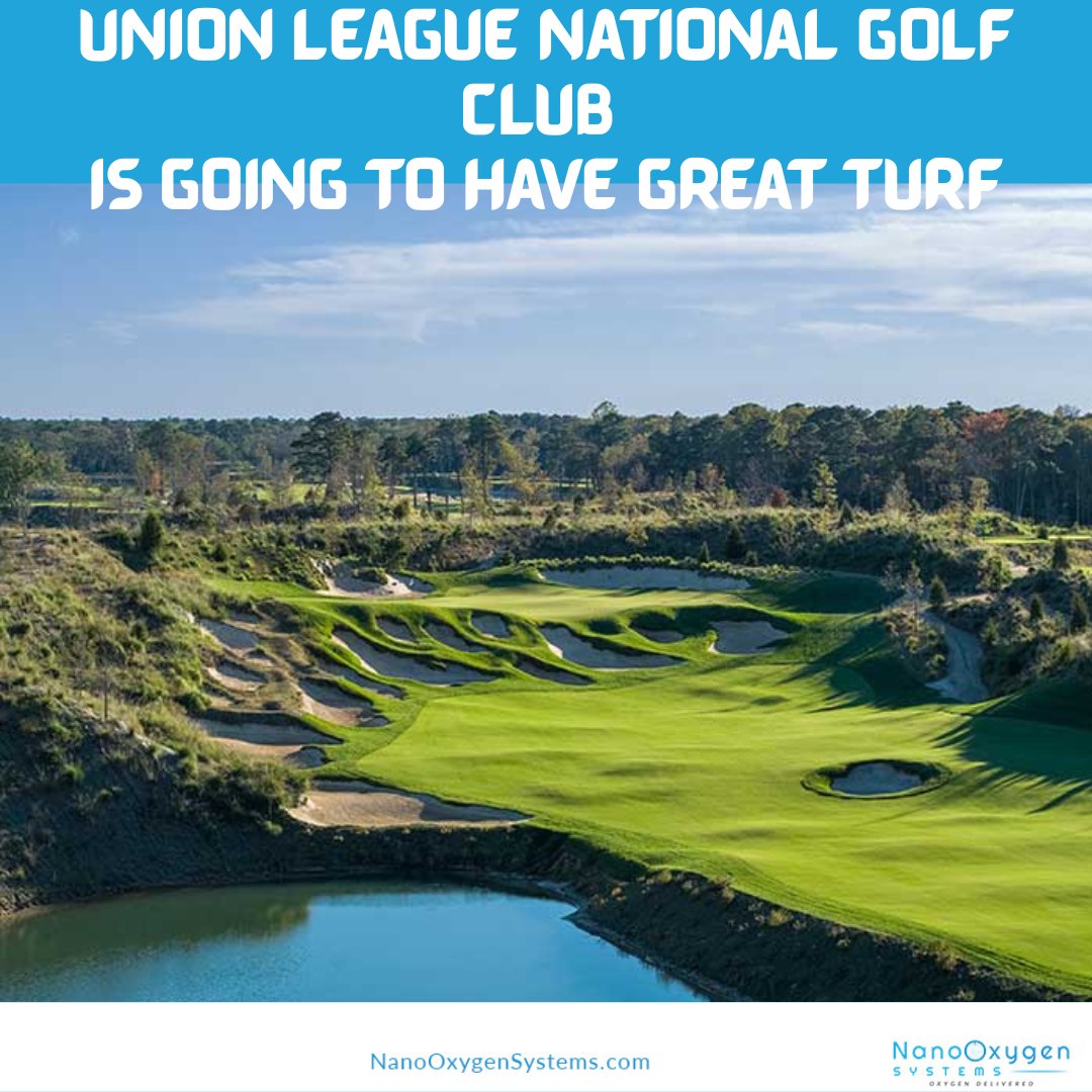 NanoOxygen Systems tweet media