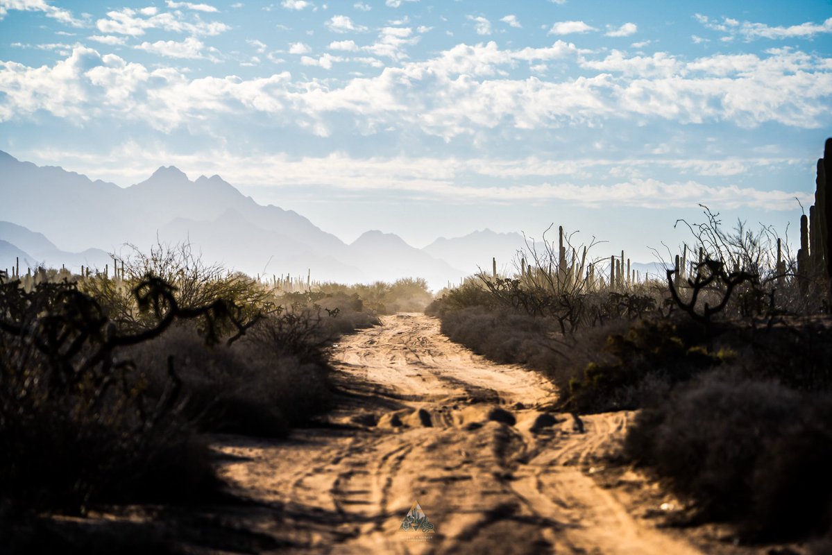 GGerardox2's tweet image. “El Sargento” Dunas, mangle, cerros, estero, mar..
Tiene todo lo que me gusta. SONORA❤️🌵