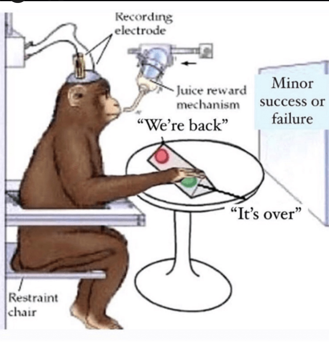 Jad (@centerhps) on Twitter photo 