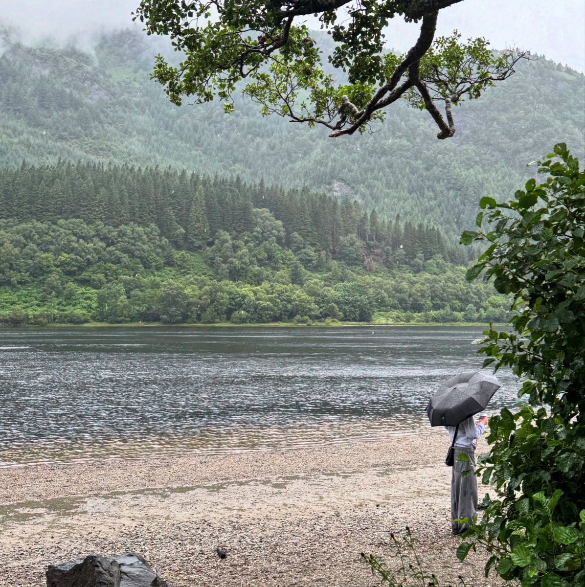 Janeblnt's tweet photo. « Il y a dans le silence d’un loch écossais plus de poésie que dans mille vers »

🍃 Paul Valéry https://t.co/8DJsiPFr1n