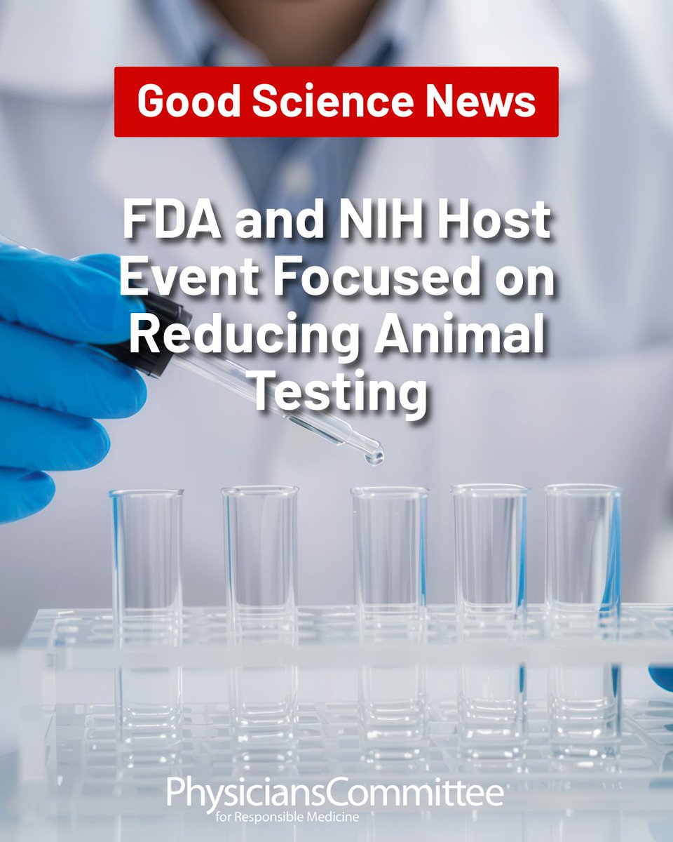 PCRM's tweet image. The FDA and the NIH have released a roadmap to reduce animal testing and expand the use of human-relevant approaches like artificial intelligence, organoids, and organ-on-a-chip technology.
The Physicians Committee commends their commitment to scientific innovation and ethical…
