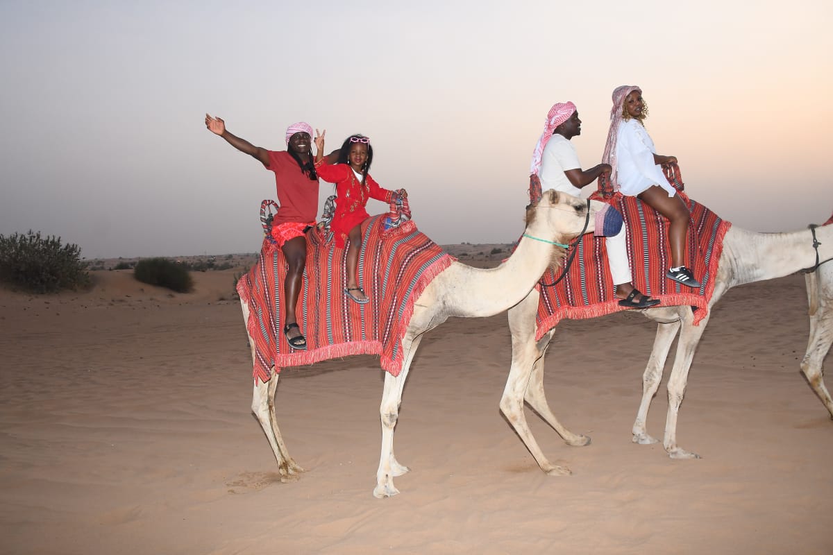 Like the camel, I have learned to carry what is necessary, endure what is heavy, and walk steadily toward my purpose.