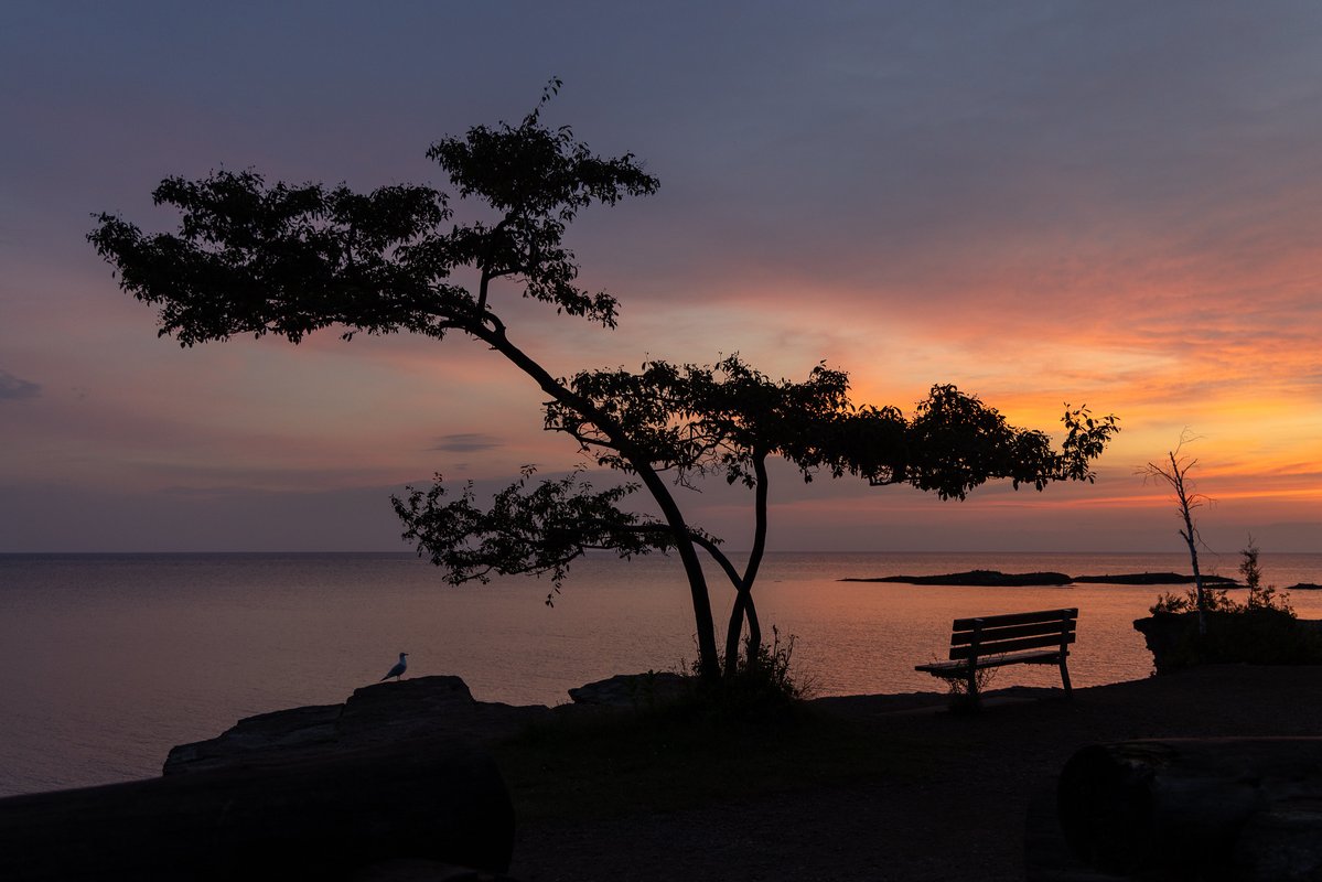 BugsySailor's tweet image. Sunrise 2,387. A little happy accident.
First photo, July 14, 2025.
Second photo, July 14, 2024.
I didn't realize this until I got back home and looked at previous sunrises photos from this date. For what it's worth, these are taken at *Sunset* Point.