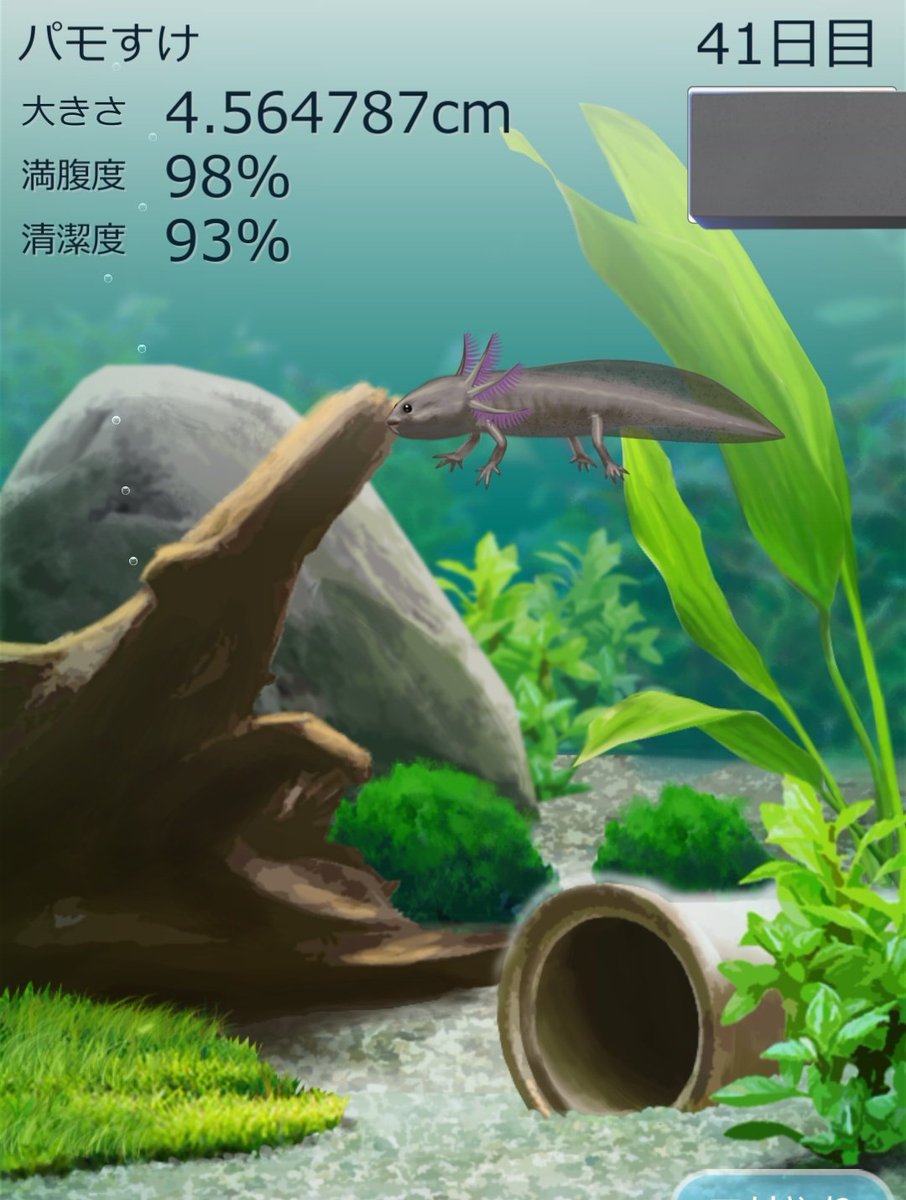 mo_taberu's tweet image. 食いしん坊すぎる…