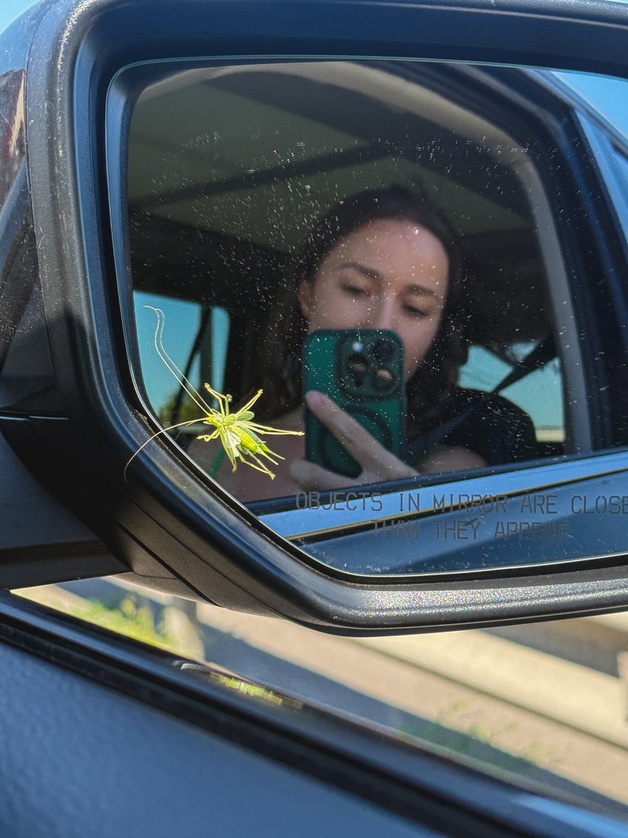 Пан коник просить, я прошу, киньте гривеньку на реабілітацію 💚

send.monobank.ua/jar/65RsmmkdtW