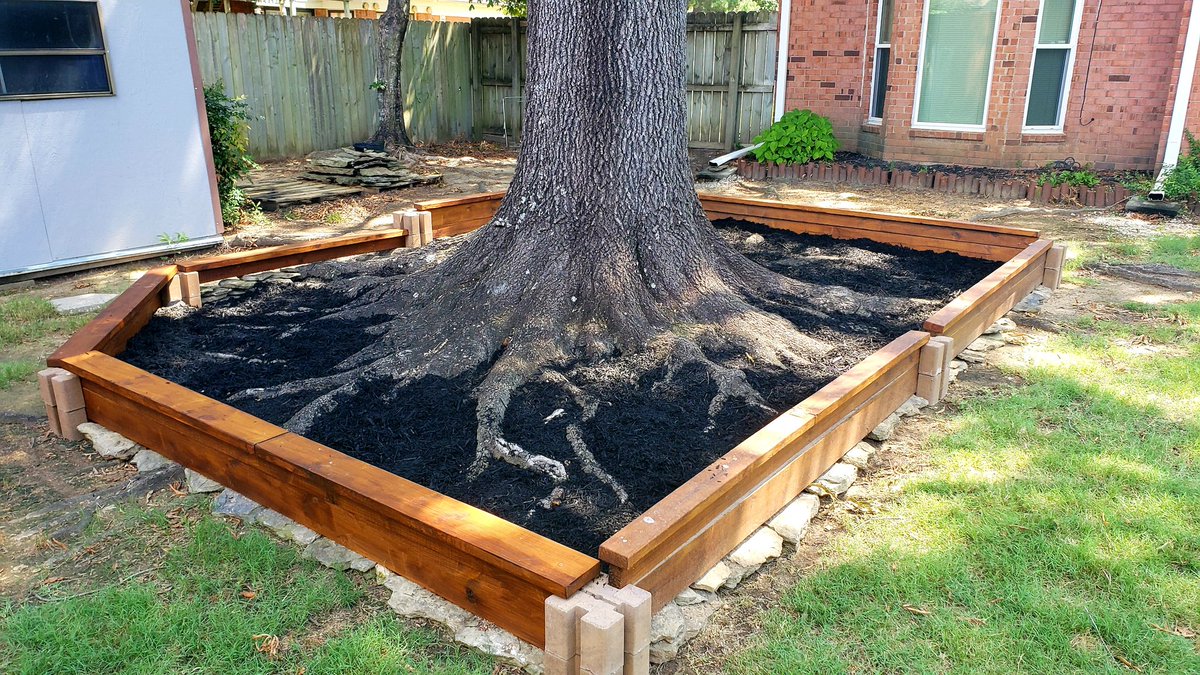 rwyjunior's tweet photo. The #TreeBox is done, final step applying hardwood mulch AROUND the roots and not over them. I left that patch of perennial rye grass in the corner as it's been growing there for 15 years. https://t.co/9qznozfdfY