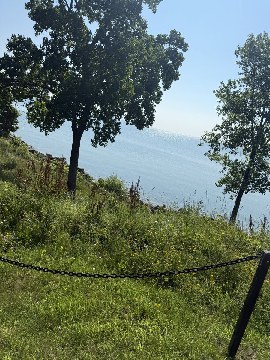 Matthais.mz5 (@matthais432307) on Twitter photo Wonderful visit at this beautiful campus thank you <a href="/CoachPopino/">Matthew Popino</a> <a href="/Firebirds_FB/">Carthage College Football</a> <a href="/Coachdavis3090/">Coach Davis</a> <a href="/haribo_is_love/">Haribo</a> Wonderful visit at this beautiful campus thank you <a href="/CoachPopino/">Matthew Popino</a> <a href="/Firebirds_FB/">Carthage College Football</a> <a href="/Coachdavis3090/">Coach Davis</a> <a href="/haribo_is_love/">Haribo</a>
